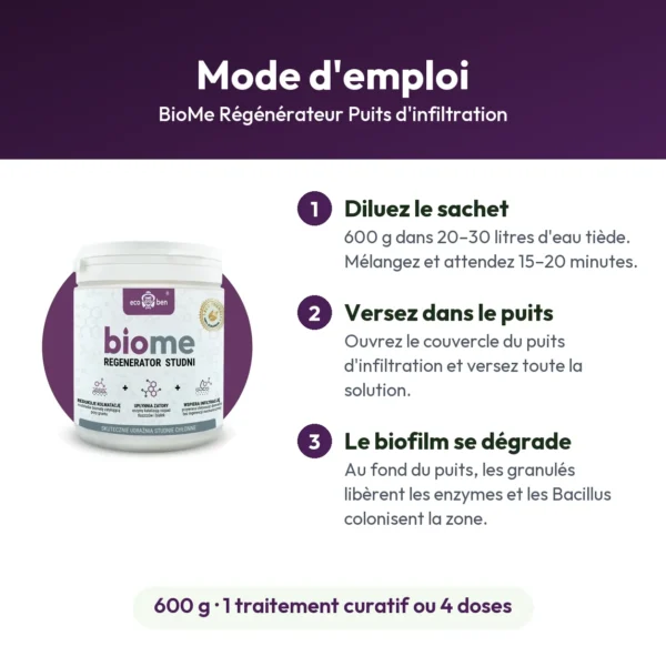 BioMe Régénérateur Puits d'infiltration : bactéries pour puisard colmaté, 600 g