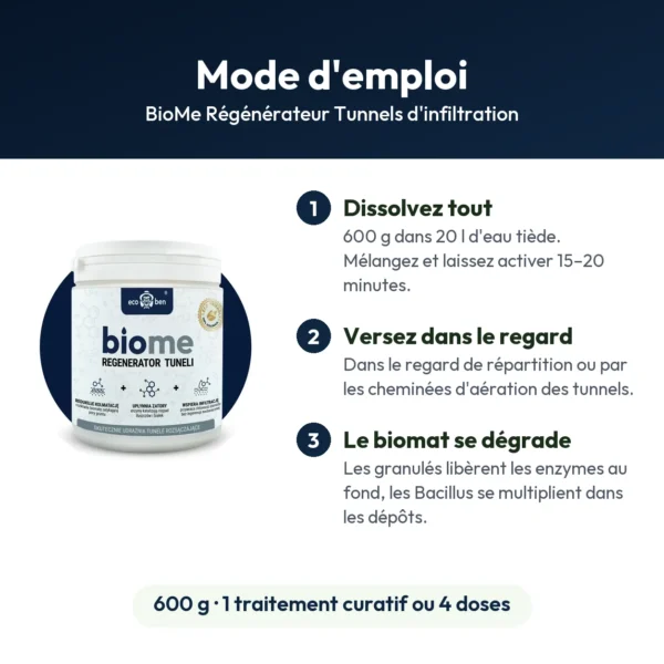 BioMe Régénérateur Tunnels d'infiltration : bactéries pour tunnels colmatés, 600 g