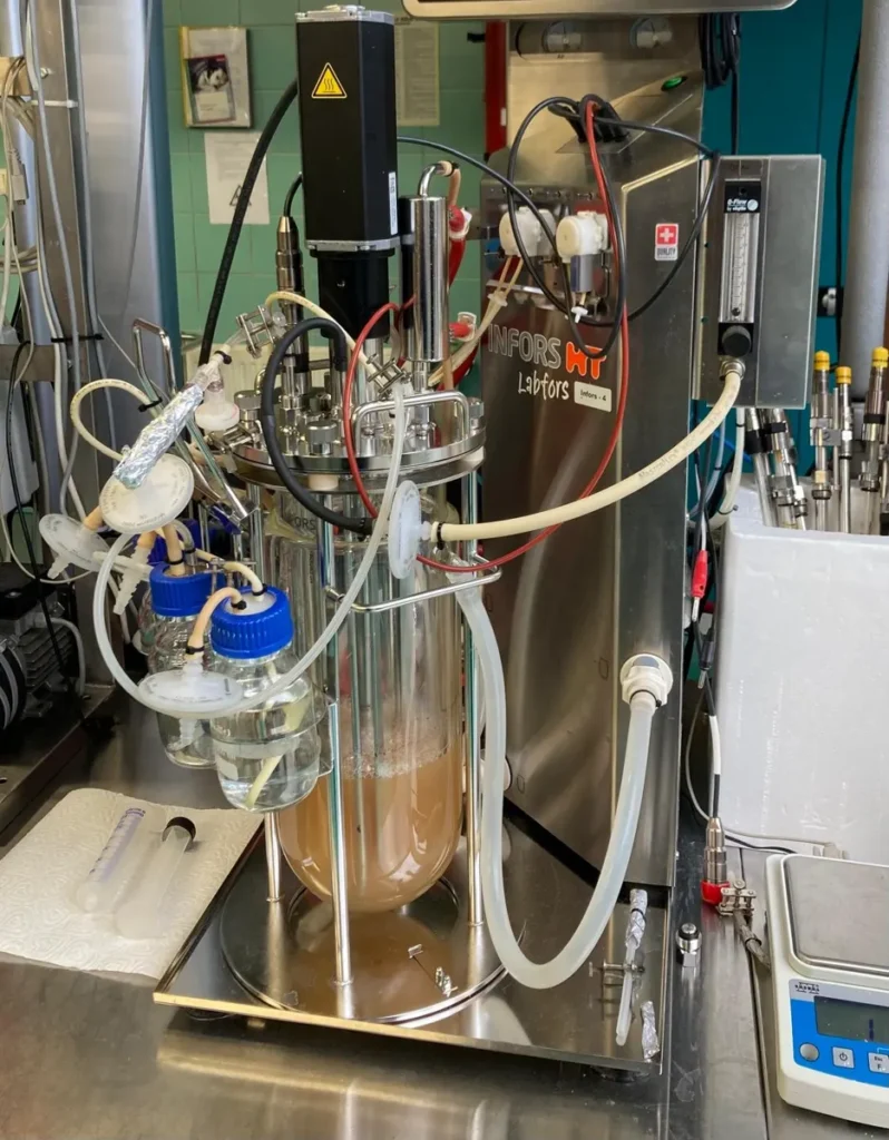 Analyse d’échantillons au laboratoire EcoBen